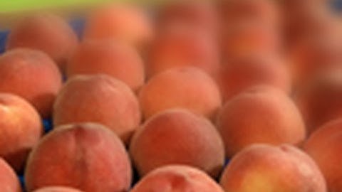 Fake Depth of Field in Photoshop |