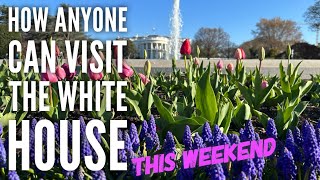 How anyone can get in the White House this weekend.