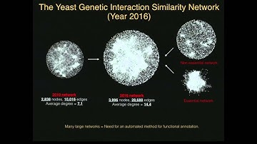 Systematic Functional Annotation of the 2016 Yeast Genetic Interaction Network
