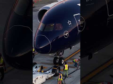 We’re curious… what’s your livery score from 1–10?