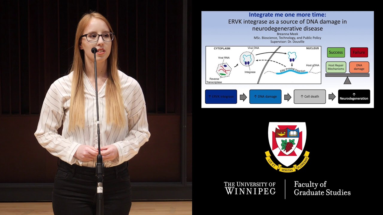 three minute thesis presentation