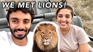 EPIC SOUTH AFRICA SAFARI 🦁