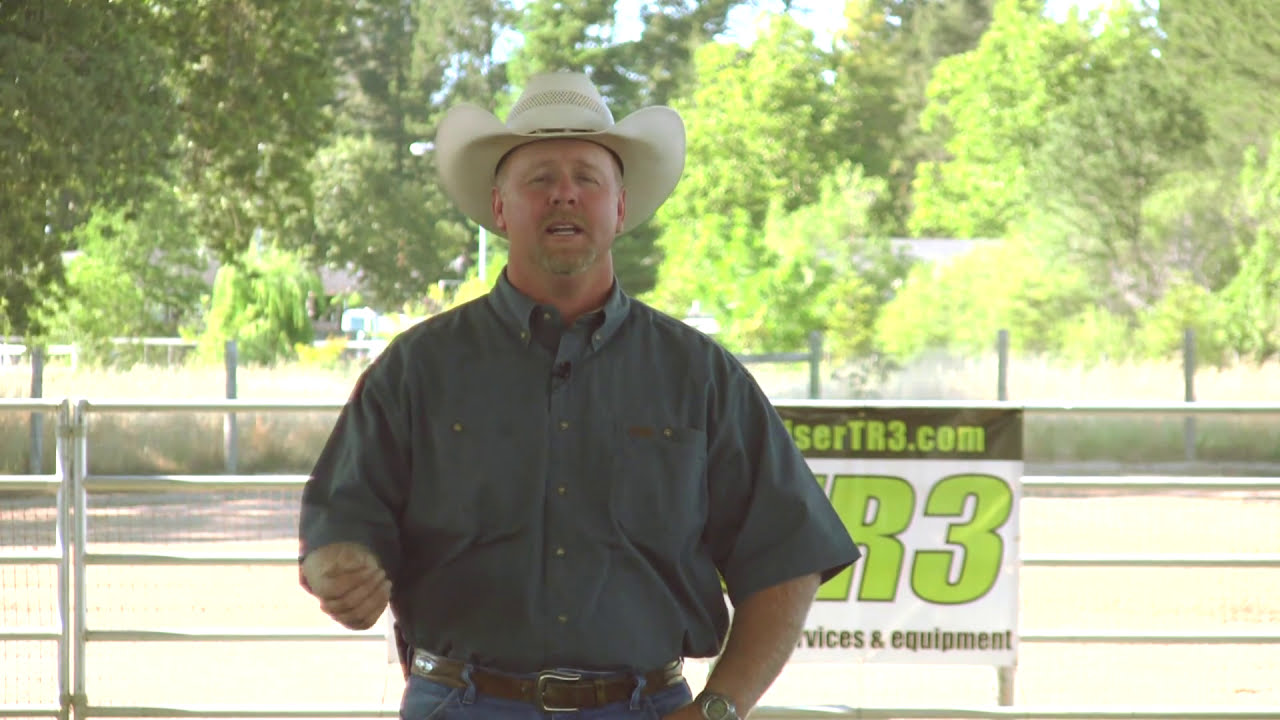 Raye Lochert's Arena Drag - TR3 Rake