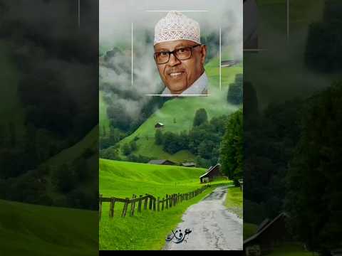 كم كنت لميتك لموم الريش في العصف الشديد