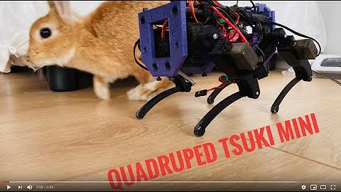 Quadruped Tsuki Mini walking test 2