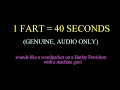 1 fart = 40 seconds: sounds like a woodpecker on a Harley Davidson with a machine gun