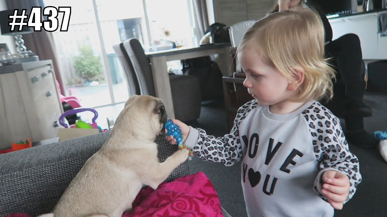 BABY SPEELT MET PUPPY - JILL VLOG 