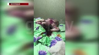 Застал брата с женой: «Вести» публикуют видео с места двойного убийства в Уфе Застал брата с женой: «Вести» публикуют видео с места двойного убийства в Уфе
