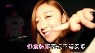 孙露 寂寞沙洲冷 DJ