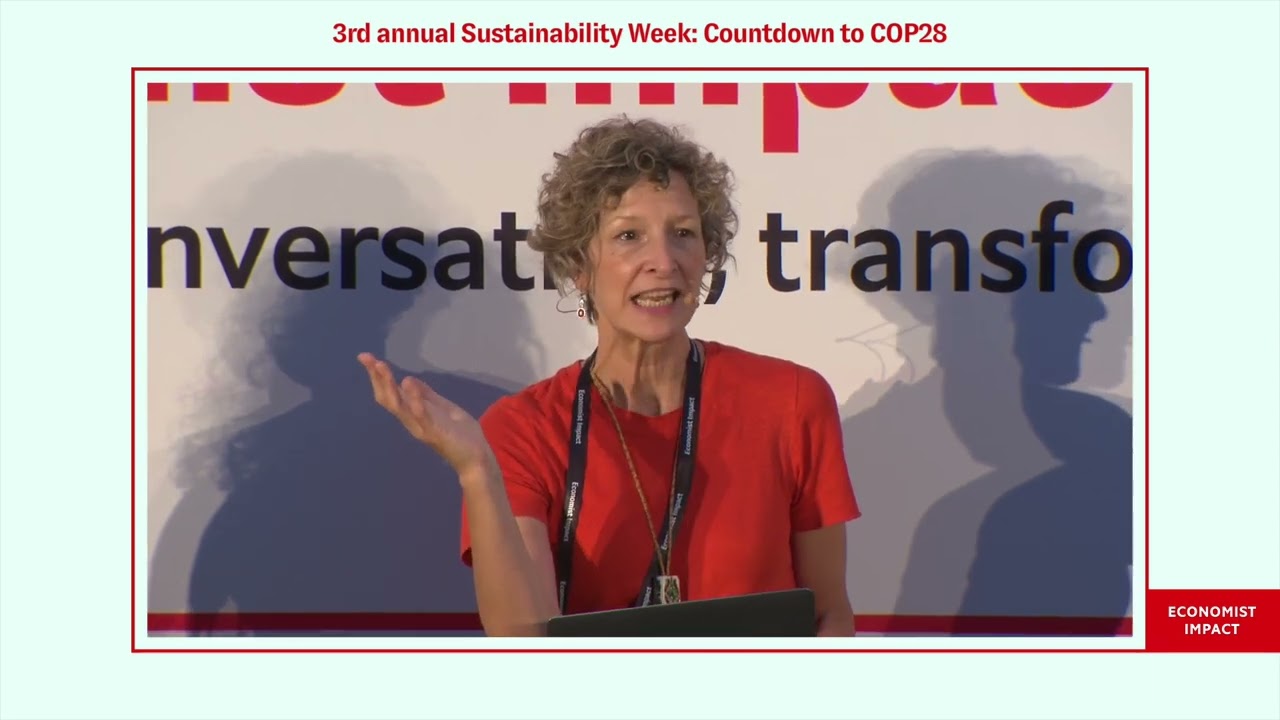 Panel: Energy security—creating a more resilient global energy system