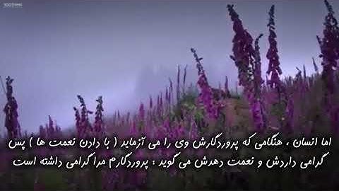 تلاوت سوره فجر - قاری شیخ مشاری العفاسی - همراه با ترجمه دری