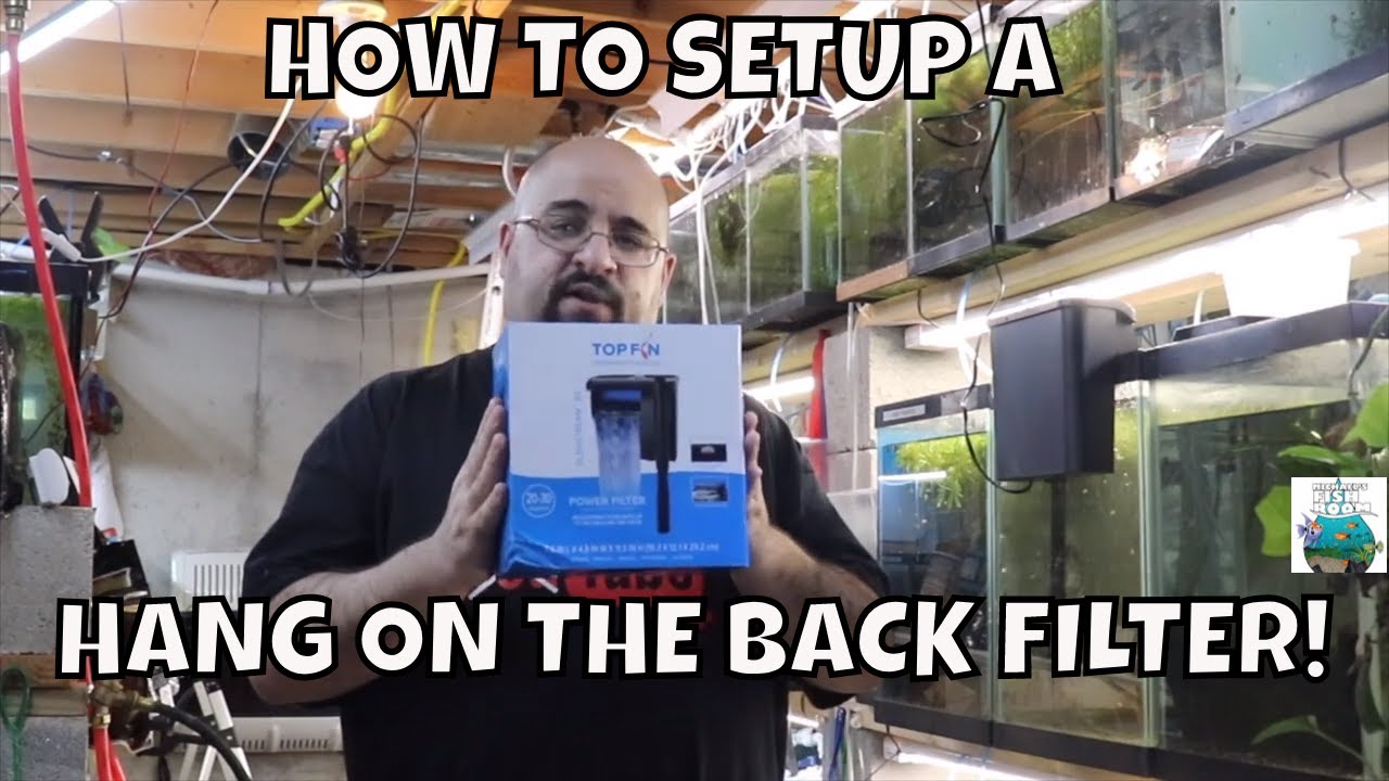 HOW TO SET UP A HANG ON BACK FILTER HOB 