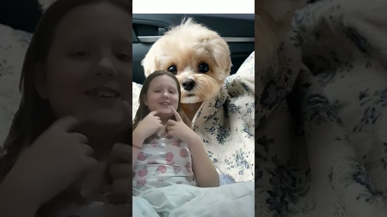 4 декабря 2022 г.