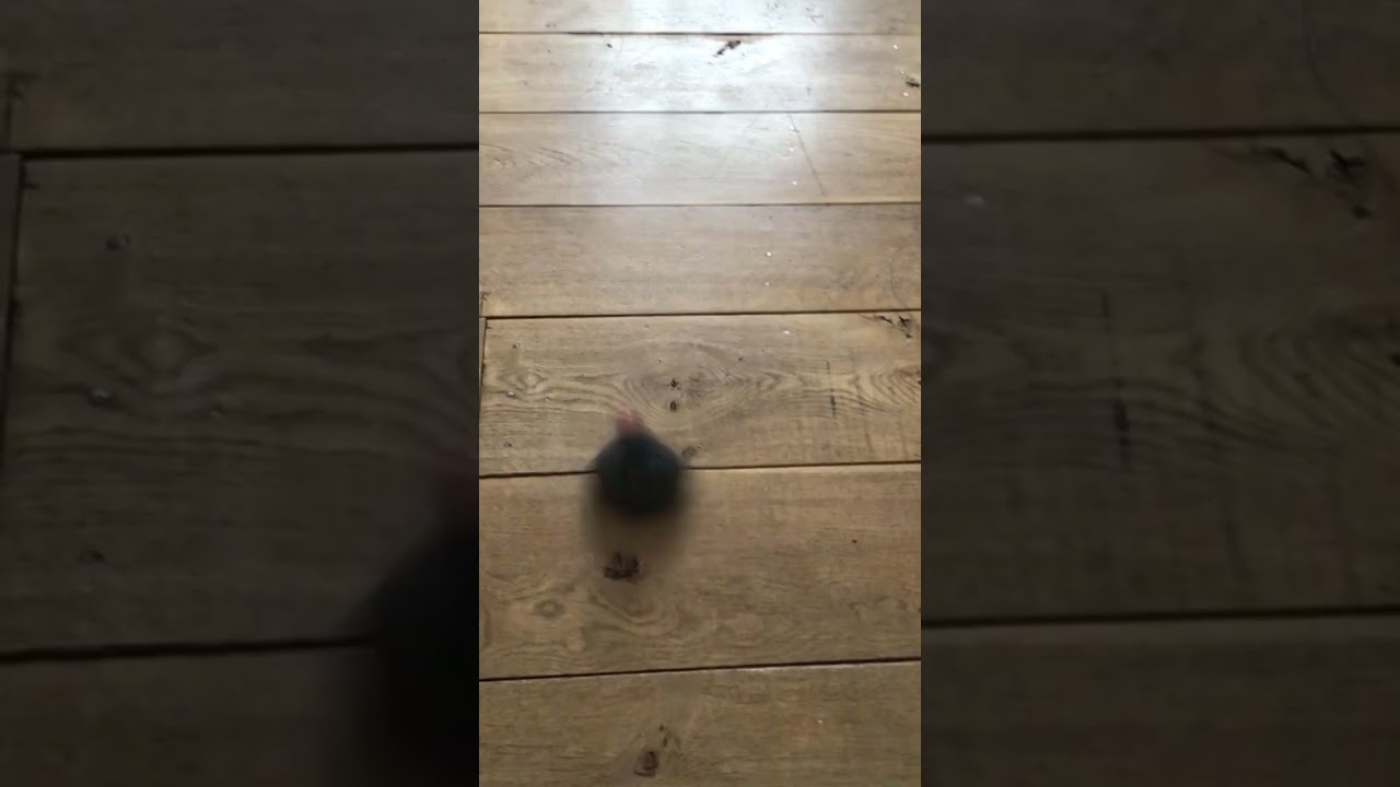 Slow motion goo ball…