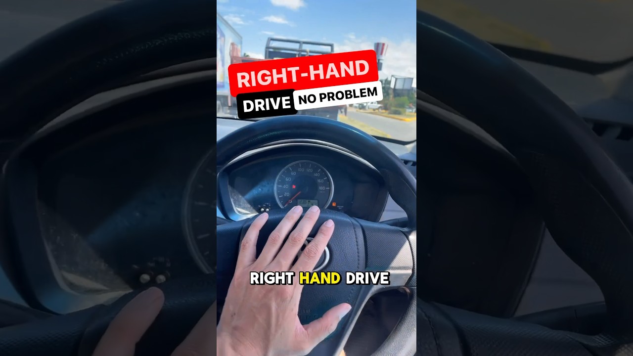 Jamaica Right-Hand Drive? No Problem! Meow Meow Takes the Wheel! 🇯🇲🚗 