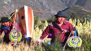 FULL ARPA Y VIOLIN CON EL ETERNO JARANERO JUAN CHOLUCHA Y SUS SUPER PUPURRIIS HUAYNOS JARANEROS