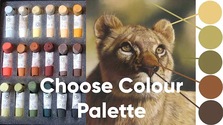 How To Choose a Colour Palette