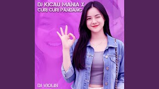 DJ Kicau Mania X Curi Curi Pandang - DJ Violin