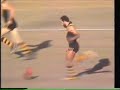  best afl goal ever   michael mitchell 1990 goal of the year  afl richmond