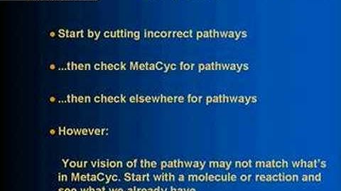 Making a Model Organism Database Part 2A