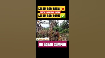 🔴Wajib nonton| Atlit Muaythai mimika (Netis Wenda) yang sangat kuat #shorts #short #westpapua