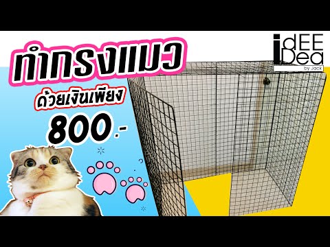 สอนทำกรงแมว DIY ทำเองแค่ 800 บาท [ idEE iDea ] Make a cat cage