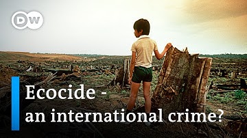Ecocide explained: How activists want to hold those destroying the environment accountable | DW News