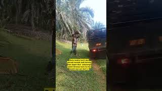 Download Mp3 anak rantau(2) Gudang lagu Download Mp3 anak rantau(2)