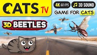 CAT TV - 3D flying Beetles 🪲 Game for cats to watch 😻 [4K] screenshot 4