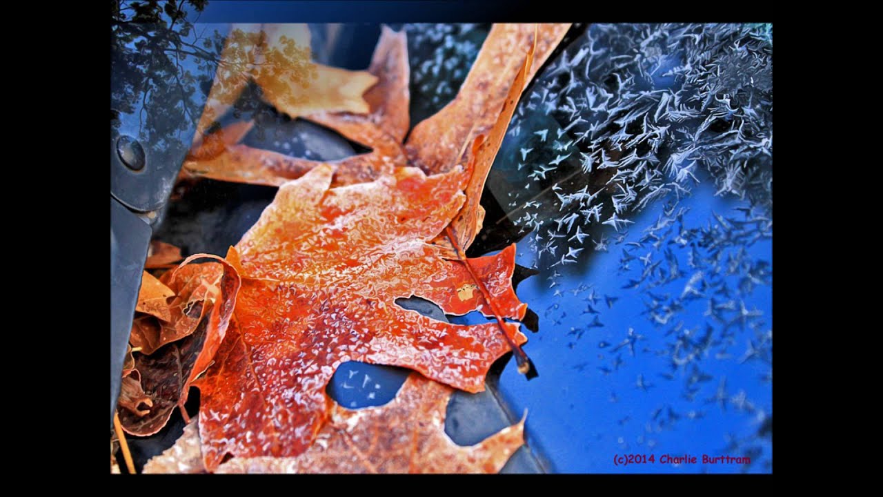 Robert Earl Keen "Paint the Town Beige" YouTube