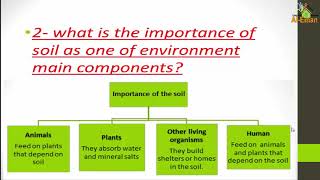 The Soil Components