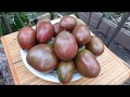 Коллекционные сорта томатов в разрезе (10 заключительная часть).