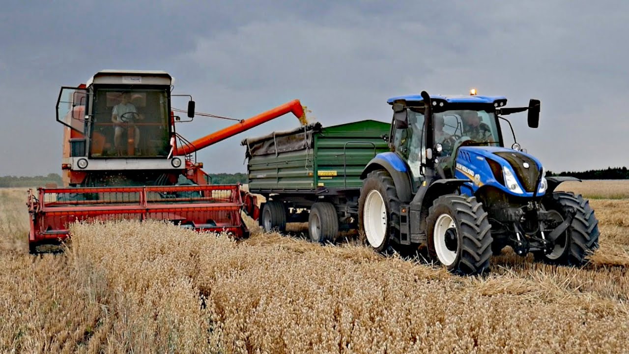 Kradzione Żniwa 2025★Bizon Z056/7★Testy Nowego Nabytku★Zetor Major 80★2xUrsus C-360 3P★