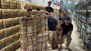 OBRAL MURAH !!! BURUNG KACER - MURAH MH - KAPAS TEMBAK - CENDET - TLEDEKAN - JINJING PETULAK DLL