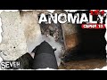 ЭТУ ПЕРЕСТРЕЛКУ ДОЛЖНЫ УВИДЕТЬ ВСЕ  ► S.T.A.L.K.E.R. Anomaly 1.5.1 (Серия 13)