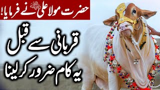 Qurbani Se Pehle Ye Kam Zarur Karna | Eid al Adha | Eid al Adha Main Qurbani Se Pehle Ka Amal