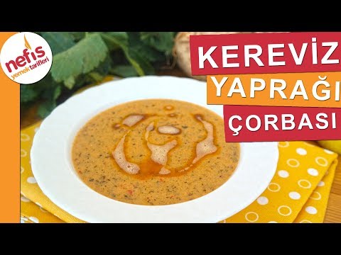 En Lezzetli Kereviz Yaprağı Çorbası Nasıl Yapılır? - Nefis Yemek Tarifleri