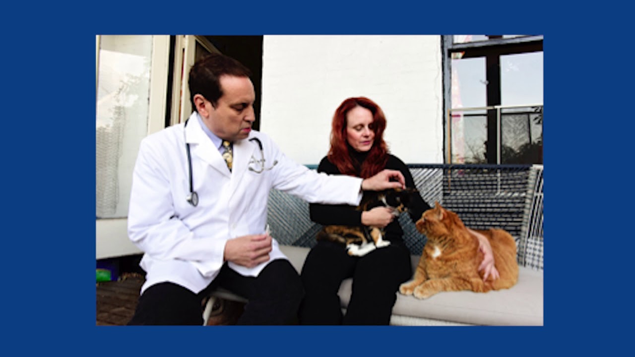 House Call Vet NYC around the city YouTube