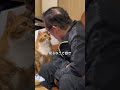 猫に夢中なお父さん