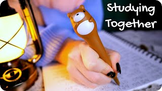 ASMR Fireside Studying 🔥✍️ (Inaudible Whisper, Pen Writing, Fire Crackle, Tapping, Cozy) 1 Hour