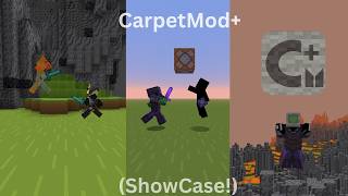 I Made a Minecraft Mod For Carpet!