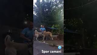 Hadise Ve Boyka Spor Yapiyorlar Her Sey Yolunda