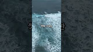영국이 한때 유럽 대륙과 붙어있었다는 진실 🗺️ #shorts #세계사 #역사 #도거랜드 #빙하기#모두를위한1분세계사 #쇼츠 #1분세계사