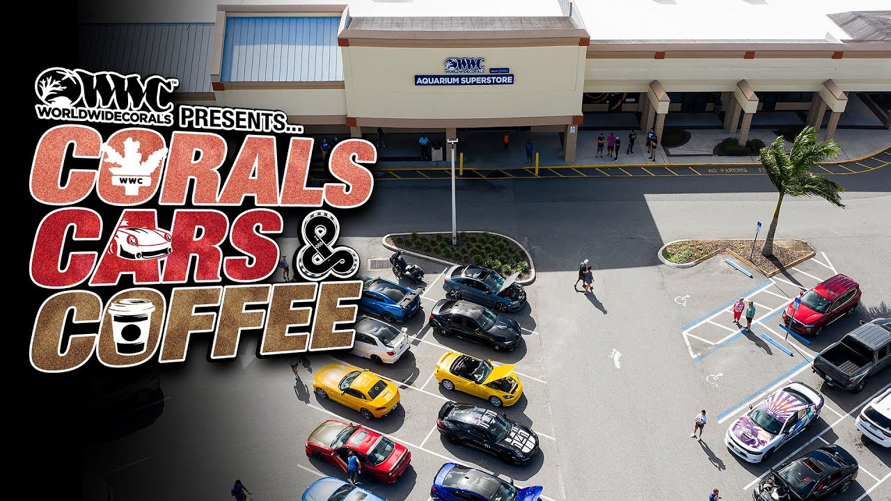 World Wide Corals Present The 1st Ever Corals Cars & Coffee