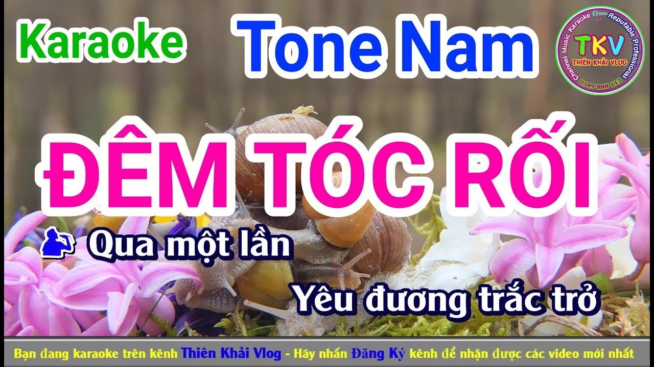 đêm tóc rối karaoke