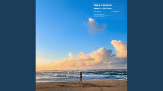 Never Let Me Down - Amés and Ferreck