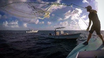 Cast Netting the Most Bait I