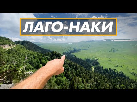 Плато Лаго-Наки 2021 / Цены / Гузерипль /Река Белая / Партизанская поляна / Яворова поляна