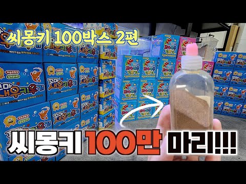 결국 저질렀는데 <strong>감당이</strong> 될지 모르겠습니다
