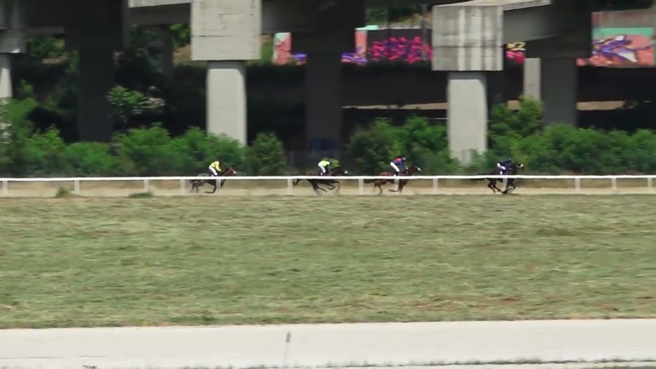 22.5.2022 I Trka - SONNY SANTINO - Hipodrom Beograd